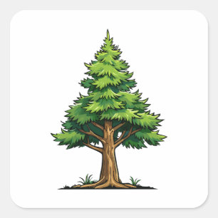 Immergrüner Wald Quadratischer Aufkleber