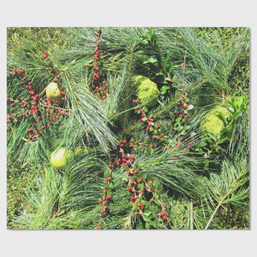 Immergrünes Packpapier - Grasland-Meilen-Reihe (Flach)