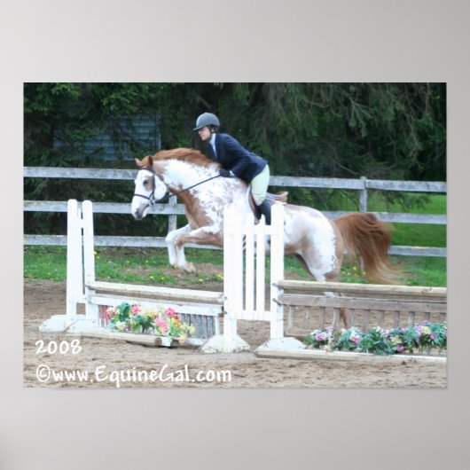 IMO-Poster 1193 Poster (Vorne)