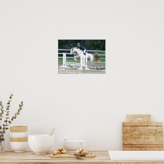 IMO-Poster 1193 Poster (Küche)