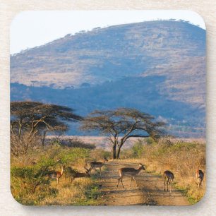 Impala (Aepyceros Melampus), Hluhluwe-Umfolozi Getränkeuntersetzer