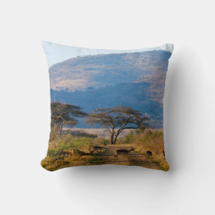 Impala (Aepyceros Melampus), Hluhluwe-Umfolozi Kissen