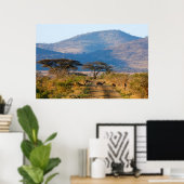 Impala (Aepyceros Melampus), Hluhluwe-Umfolozi Poster (Heimbüro)