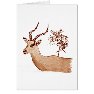 Impala Antelope Tierwelt Zeichnend Sketch