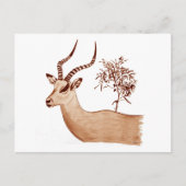 Impala Antelope Tierwelt Zeichnend Sketch Postkarte (Vorderseite)