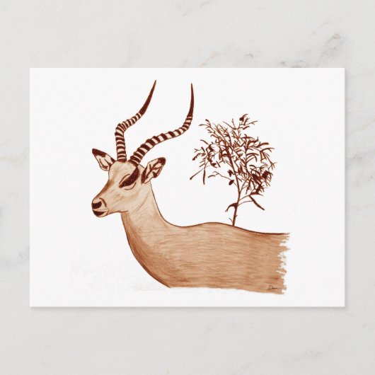 Impala Antelope Tierwelt Zeichnend Sketch Postkarte (Vorderseite)