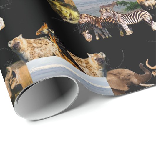 Impala Hill - Wrapping Paper Geschenkpapier (Rolleneckpunkt)