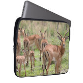 Impala im Okavango-Delta Laptopschutzhülle (Vorne Rechts)