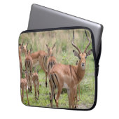 Impala im Okavango-Delta Laptopschutzhülle (Vorderseite Links)