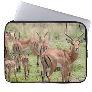 Impala im Okavango-Delta Laptopschutzhülle