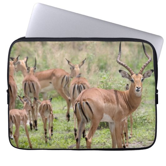 Impala im Okavango-Delta Laptopschutzhülle (Vorderseite)