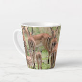 Impala im Okavango-Delta Milchtasse (Linke Ecke)