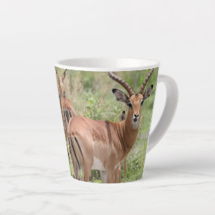 Impala im Okavango-Delta Milchtasse