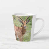 Impala im Okavango-Delta Milchtasse (Rechts)