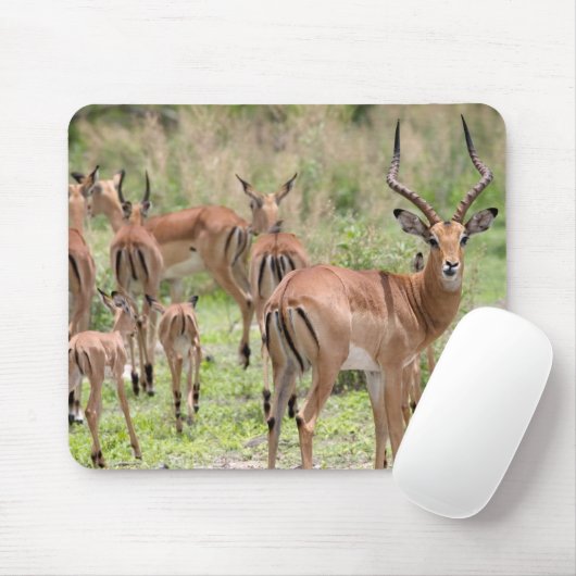 Impala im Okavango-Delta Mousepad (Mit Mouse)