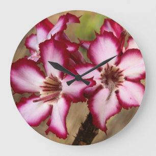 Impala-Lilie (Adenium Multiflorum), Kruger Große Wanduhr
