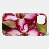 Impala Lily (Adenium Multiflorum), Krüger Case-Mate iPhone Hülle (Rückseite (Horizontal))