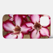 Impala Lily (Adenium Multiflorum), Krüger Case-Mate iPhone Hülle (Rückseite (Horizontal))