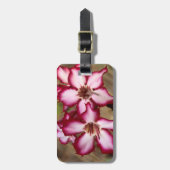 Impala Lily (Adenium Multiflorum), Krüger Gepäckanhänger (Vorderseite vertikal)