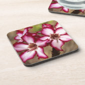 Impala Lily (Adenium Multiflorum), Krüger Getränkeuntersetzer (Linke Seite)