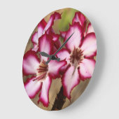 Impala Lily (Adenium Multiflorum), Krüger Große Wanduhr (Winkel)