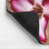 Impala Lily (Adenium Multiflorum), Krüger Mousepad (Ecke)