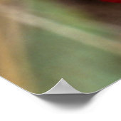 Impala Lily (Adenium Multiflorum), Kruger Poster (Ecke)