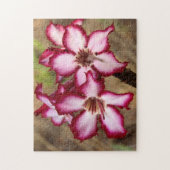Impala Lily (Adenium Multiflorum), Krüger Puzzle (Vertikal)