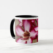 Impala Lily (Adenium Multiflorum), Krüger Tasse (Vorderseite Links)