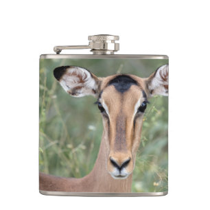 Impala Portrait Flachmann