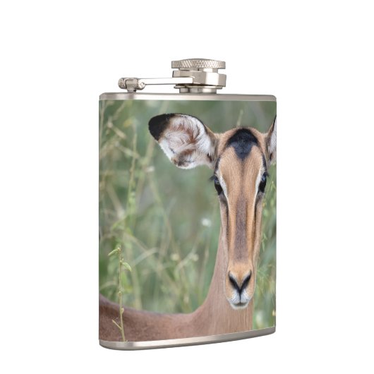 Impala Portrait Flachmann (Rechts)