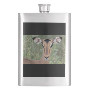 Impala Portrait Flachmann