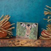 Impala Portrait Fotoplatte (Seite)