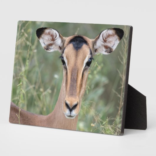 Impala Portrait Fotoplatte (Seite)