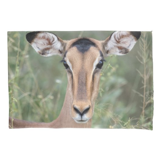 Impala Portrait Kissenbezug (Vorderseite)