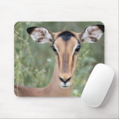 Impala Portrait Mousepad (Mit Mouse)
