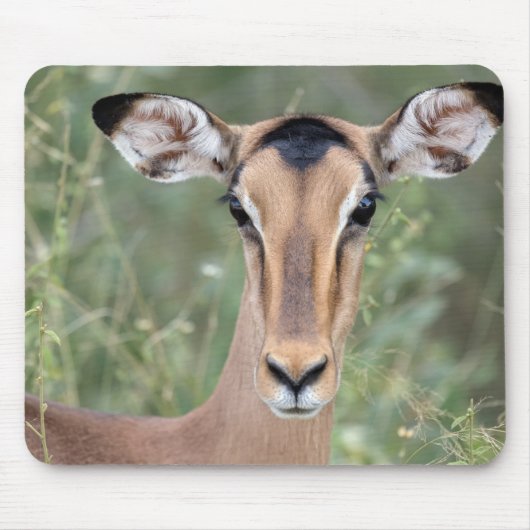 Impala Portrait Mousepad (Vorne)