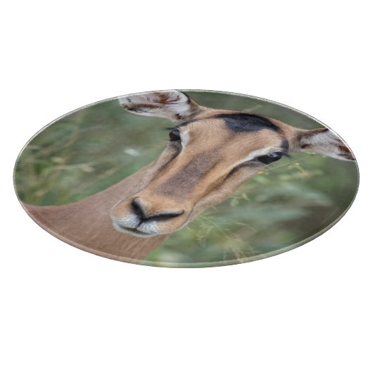Impala Portrait Schneidebrett (Ecke)
