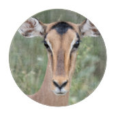 Impala Portrait Schneidebrett (Vorderseite)