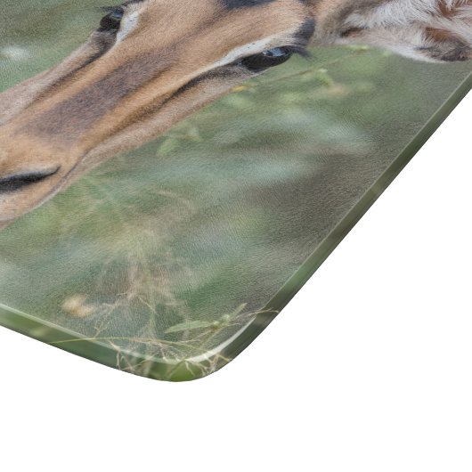 Impala Portrait Schneidebrett (Ecke)