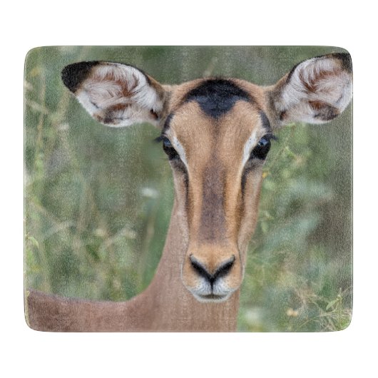 Impala Portrait Schneidebrett (Vorderseite)