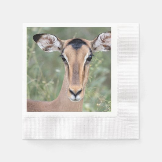 Impala Portrait Serviette (Vorderseite)