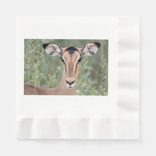 Impala Portrait Serviette (Vorderseite)