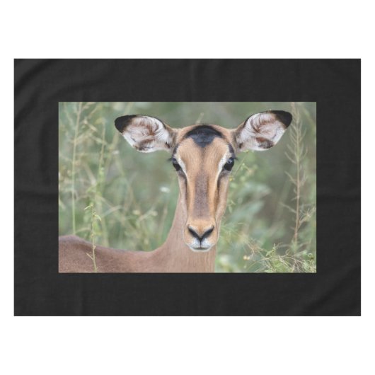Impala Portrait Tischdecke (Vorderseite (Horizontal))