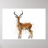 Impala Poster (Vorne)