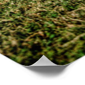 Impala Poster (Ecke)