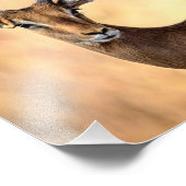 Impala und Oxpecker Bird in Afrika Fotodruck (Ecke)