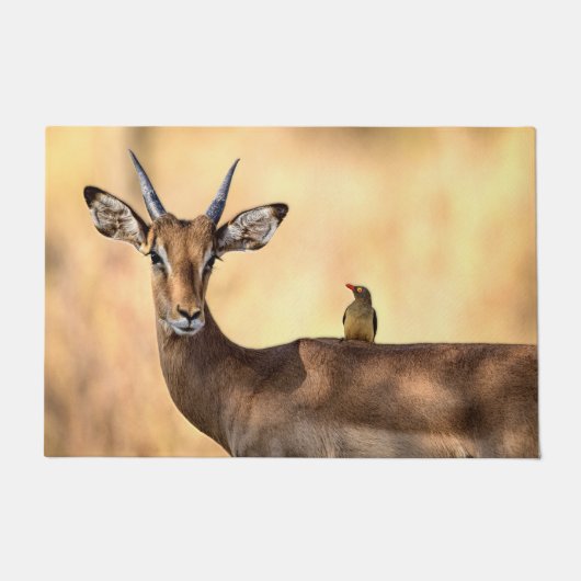 Impala und Oxpecker Bird in Afrika Fußmatte (Vorderseite)