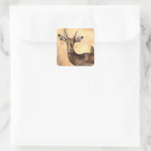 Impala und Oxpecker Bird in Afrika Quadratischer Aufkleber (Tasche)