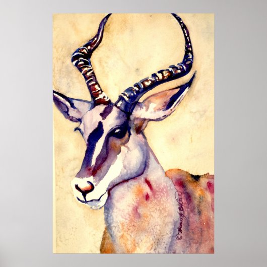 Impala Watercolor Poster (Vorne)